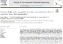 Activated sludge under nanoparticle stress: Fate and mechanistic effects of wastewater-borne Al₂O₃ nanoparticles