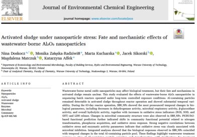 Activated sludge under nanoparticle stress: Fate and mechanistic effects of wastewater-borne Al₂O₃ nanoparticles